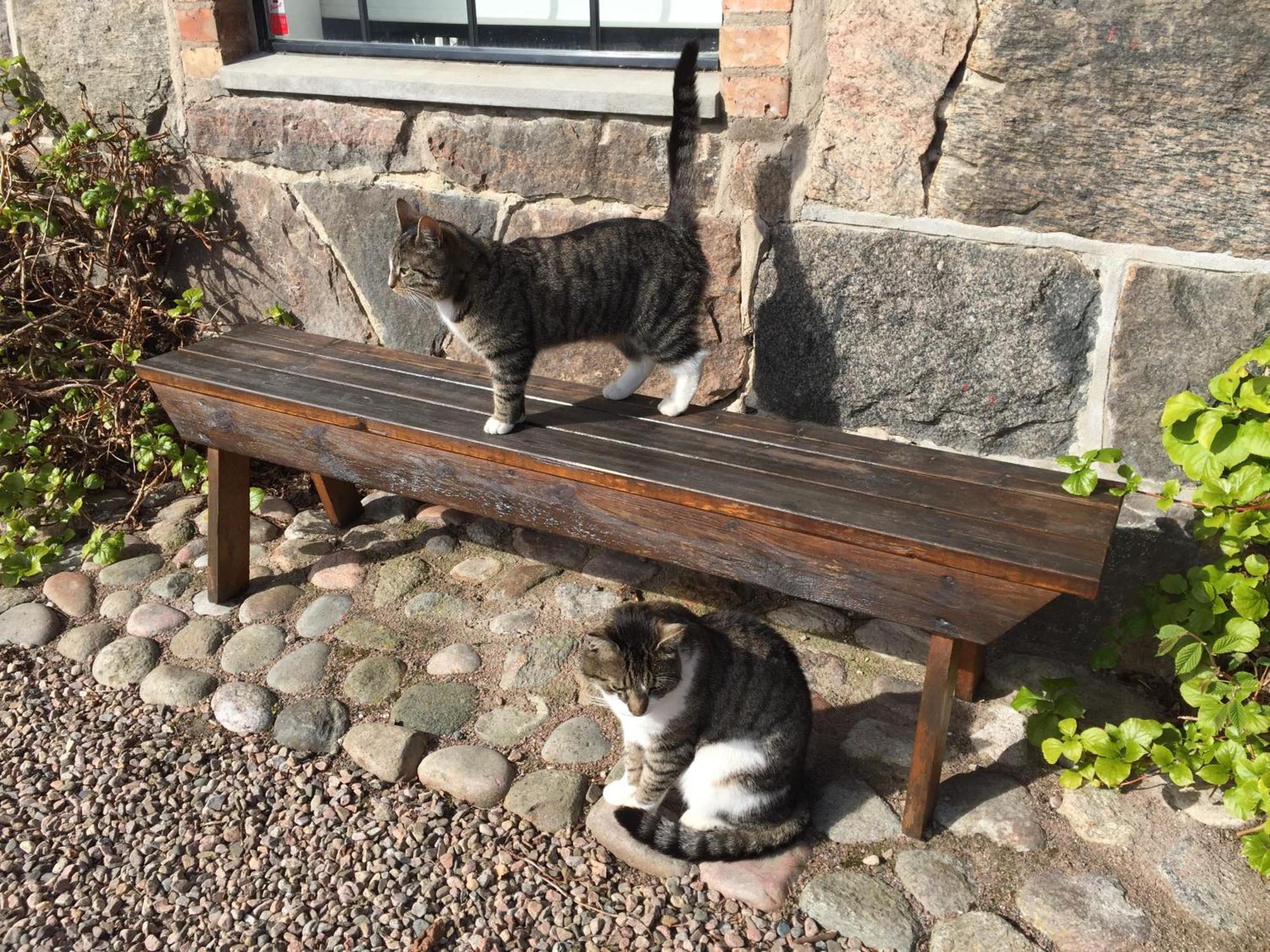 Lyckas Gards Gaestboende Höganäs Exteriér fotografie