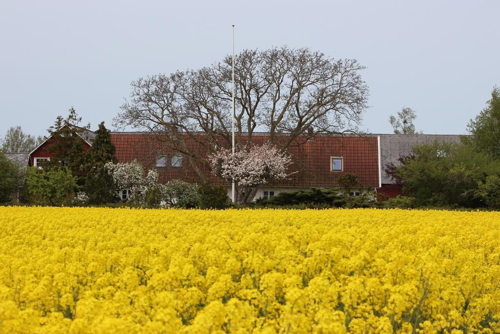 Lyckas Gards Gaestboende Höganäs Exteriér fotografie