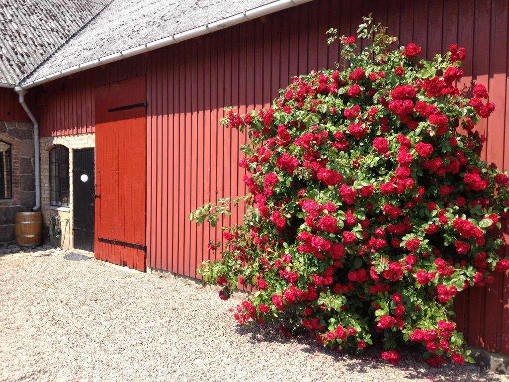 Lyckas Gards Gaestboende Höganäs Exteriér fotografie
