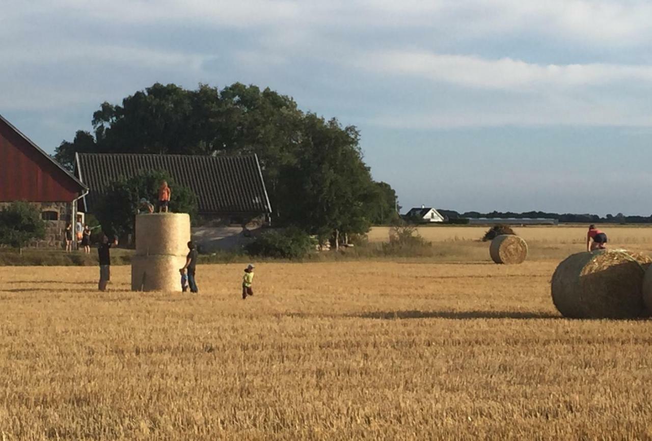 Lyckas Gards Gaestboende Höganäs Exteriér fotografie